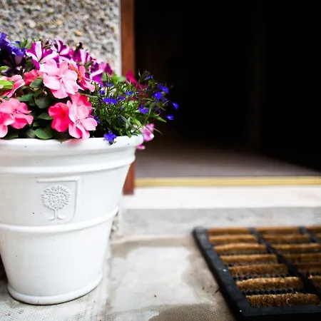 The Forge Bed & Breakfast-3